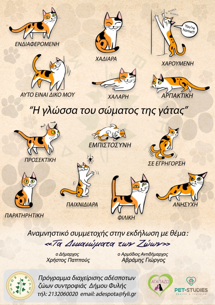 ΑΔΕΣΠΟΤΑ-afisa-sxolia-cat