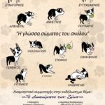 ΑΔΕΣΠΟΤΑ-afisa-sxolia-dog-150x150